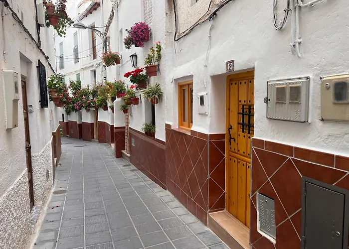 Alicia\'S House